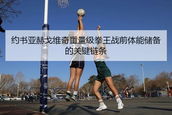 约书亚赫戈维奇重量级拳王战前体能储备的关键链条